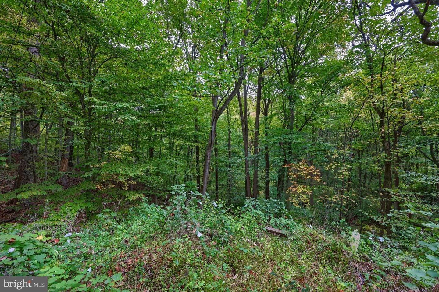 15. Land for Sale at 6256 ENGLETOWN Road Narvon, Pennsylvania 17555 United States