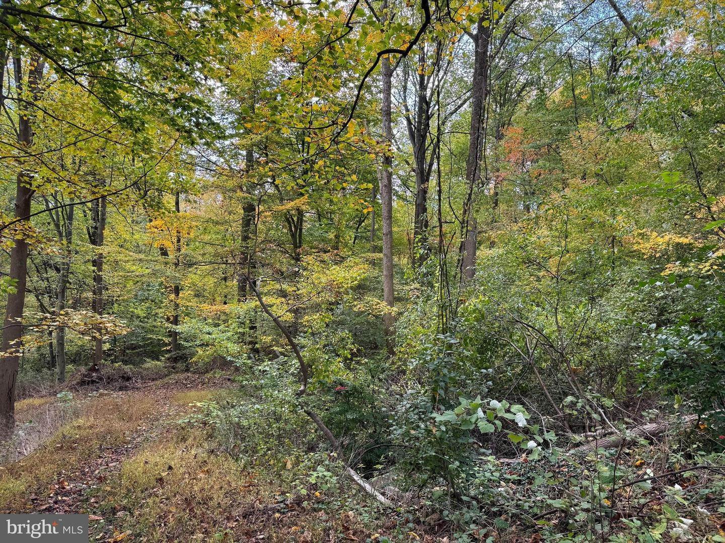 18. Land for Sale at 6256 ENGLETOWN Road Narvon, Pennsylvania 17555 United States