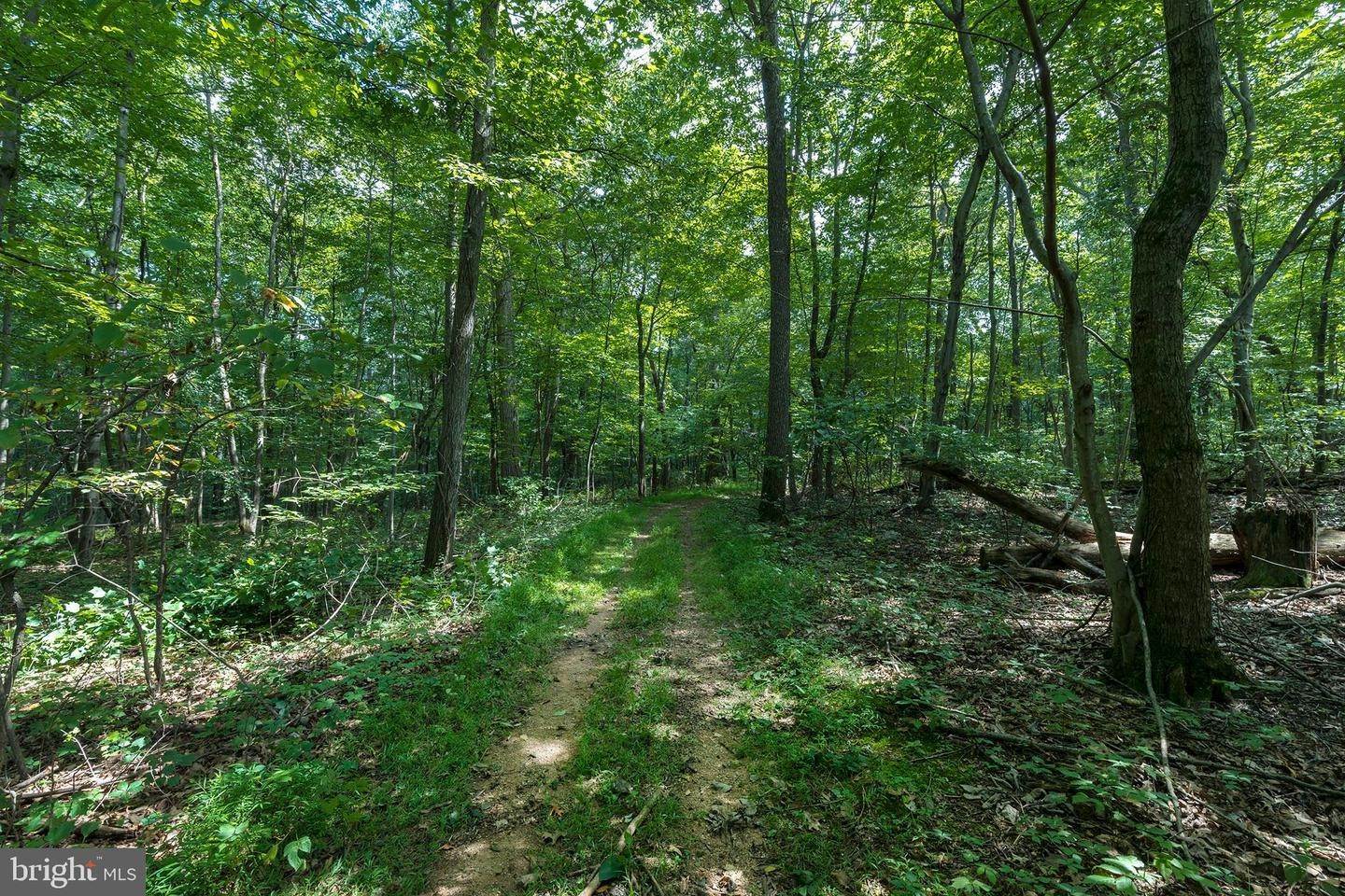 17. Land for Sale at 9 VESTRAL Drive Pequea, Pennsylvania 17565 United States