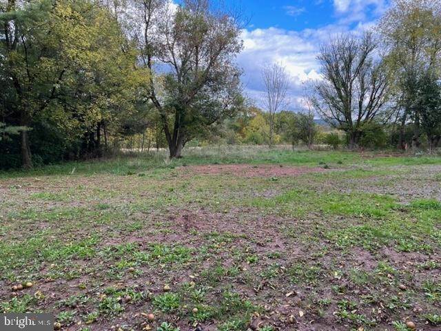 7. Land for Sale at 880 CAMP MEETING Road East Earl, Pennsylvania 17519 United States