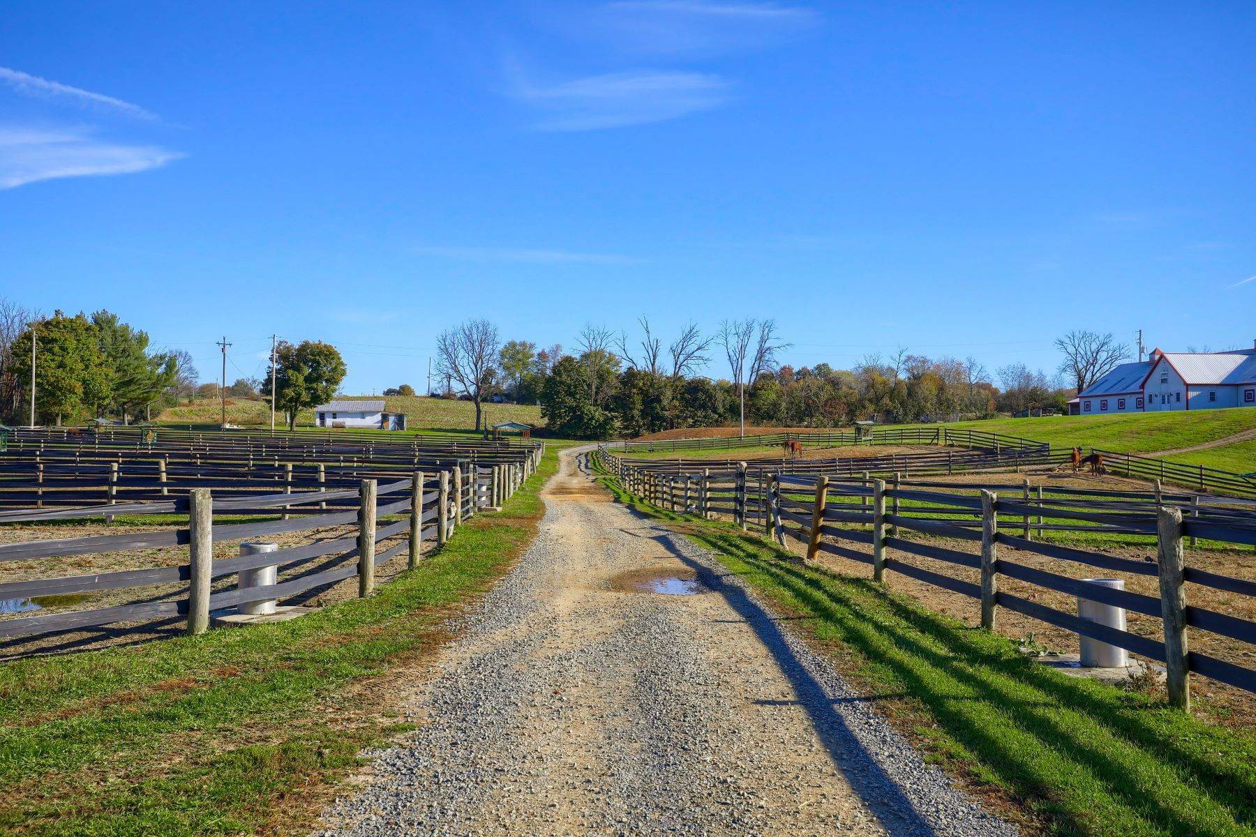 36. Farm and Ranch Properties 为 销售 在 1671 Tilden Road Mohrsville, 宾夕法尼亚州 19541 美国